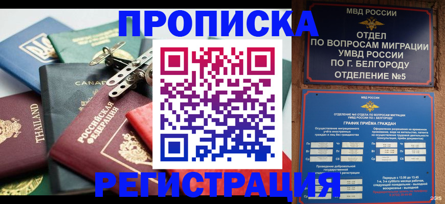временная регистрация недорого в Россоши